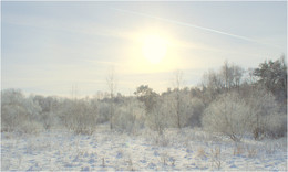 Cold Sun / ***