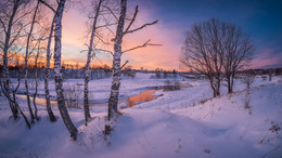 January morning / ***