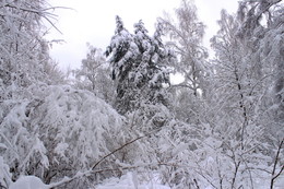 After snowfall / ***