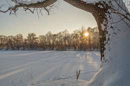 January evening / ***