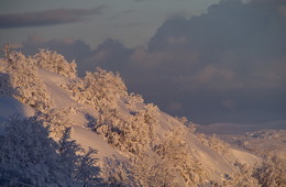 Urban sketches / ***