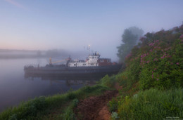 Morning freshness. / ***