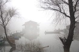 fog on the river / ***