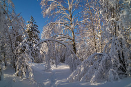 February morning / ***