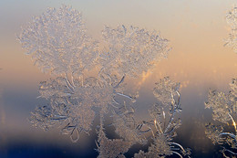 Frosty patterns / ***