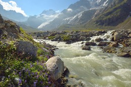 Summer in the mountains / ***