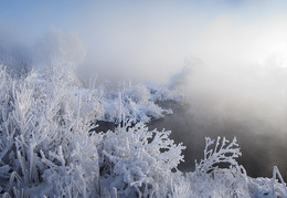 Frosty morning. / ***