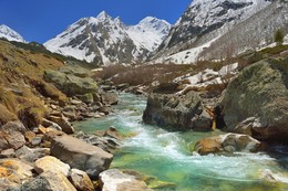 Spring in the mountains / ***