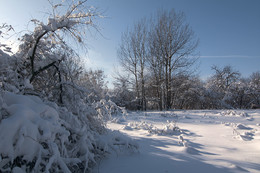 Frost and sun. / ***