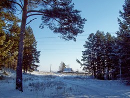 At the edge of forest / ***