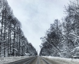 Winter road / ...