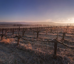 February morning / ***