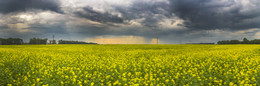 Russian field / ***