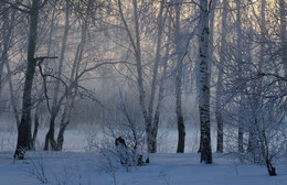 Hibernation / ***