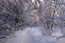 Winter road / ***