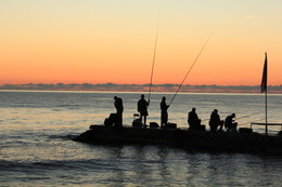 Evening fishing / ***