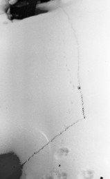 &nbsp; / [img]https://a.radikal.ru/a14/1802/93/3771d74f7e95.jpg[/img]

[img]https://c.radikal.ru/c36/1802/bf/5615ddef0a7d.jpg[/img]

[img]https://d.radikal.ru/d19/1802/b1/5b2ac02f7373.jpg[/img]

[img]https://a.radikal.ru/a10/1802/28/a4a1a0d9873c.jpg[/img]

[img]https://a.radikal.ru/a00/1802/c1/735ea2d2d3cb.jpg[/img]