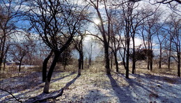 Frost and sun ... / ***