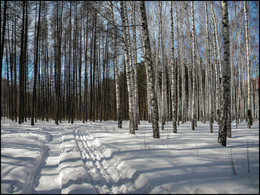 A lovely denek / ***