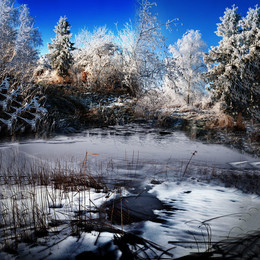 February / fevral'
