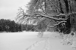 Winter etude / ***