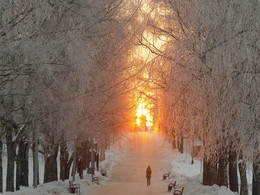 Winter Sunrise / ***