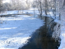 frosty morning / ***