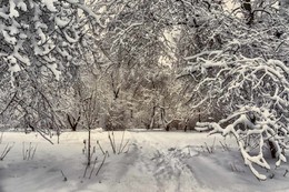 Covered with snow. / ***