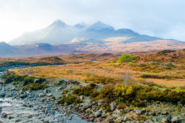 Scotland mist / Scotland scenery in November