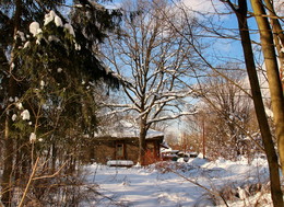 Winter picture / ***