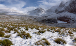 In the mountains / ***