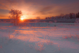 In the morning light / ***