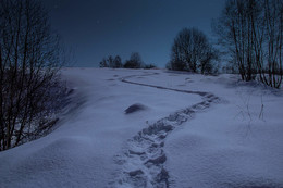 In the moonlight. / ***