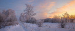 Winter Sunset / ***