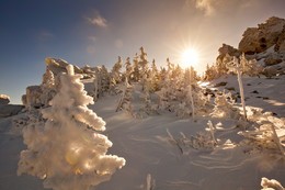 March sun / ***