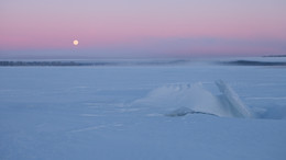 At dawn / ***