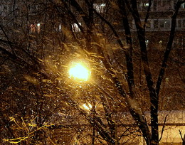 Snowstorm / ***