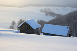 frosty morning / ***