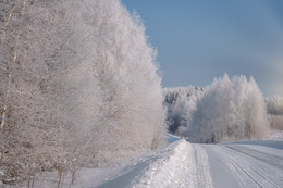 Winter road / ***