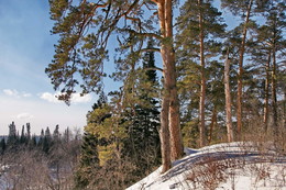 March sun / ***