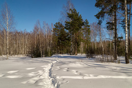 The end of winter / ***