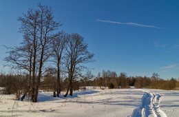 End of winter 2 / ***