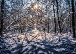 Towards the sun. / ***