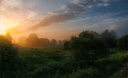 The birth of a new day / ***