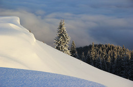 Winter Carpathians / ***
