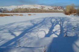 Shadows on the sand / ***