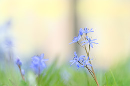 &nbsp; / Frühling