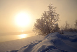 Winter / ***
