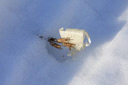 Winter sketch. / ***