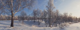 Winter sketches. / ***